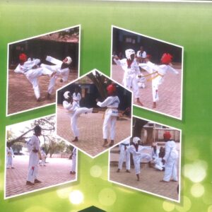 Taekwondo Training Guide French